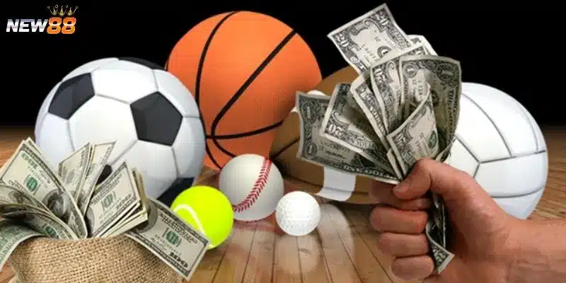 Khám phá các yếu tố ảnh hưởng đến tỷ lệ thắng cược