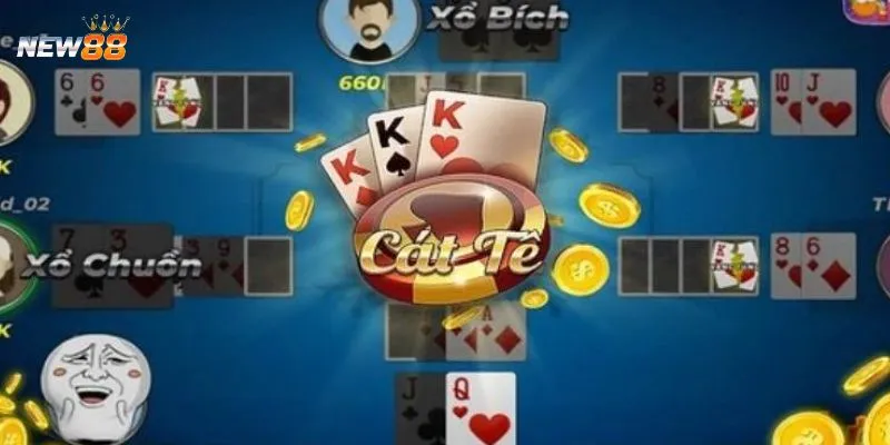 Cách sử dụng bài hiệu quả trong Catte