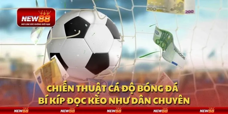 Chiến thuật cá độ bóng đá - Bí kíp đọc kèo như dân chuyên 9 Chiến thuật cá độ bóng đá - Bí kíp đọc kèo như dân chuyên