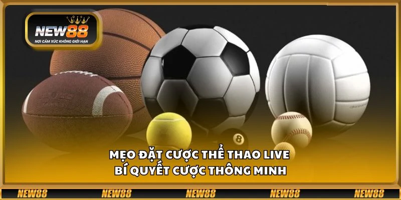 Mẹo đặt cược thể thao live - Bí quyết cược thông minh 1 Mẹo đặt cược thể thao live - Bí quyết cược thông minh
