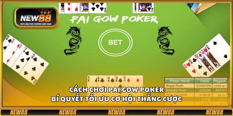 Cách chơi Pai Gow Poker - Bí quyết tối ưu cơ hội thắng cược