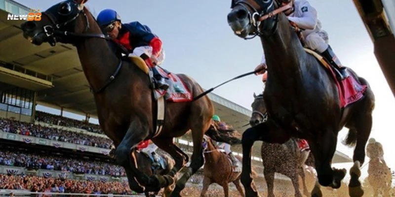 Mẹo đặt cược đua ngựa tại New88 - Kinh nghiệm vào tiền hợp lý 3 Cách vào tiền hợp lý khi cược đua ngựa