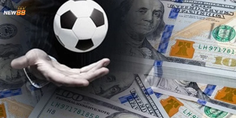 Tìm hiểu đặc điểm của kèo rung