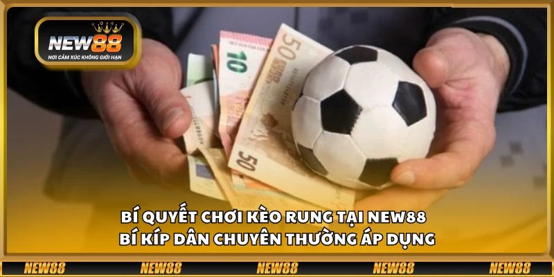 Bí quyết chơi kèo rung tại New88 - Bí kíp dân chuyên thường áp dụng