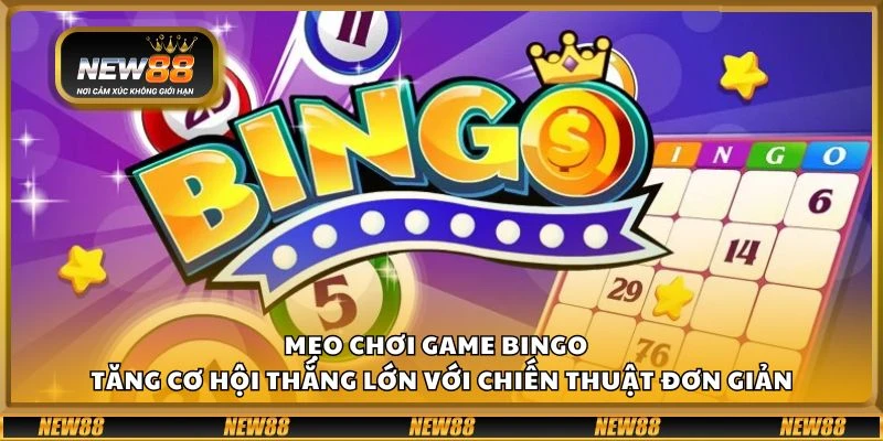 Mẹo chơi game bingo - Tăng cơ hội thắng lớn với chiến thuật đơn giản